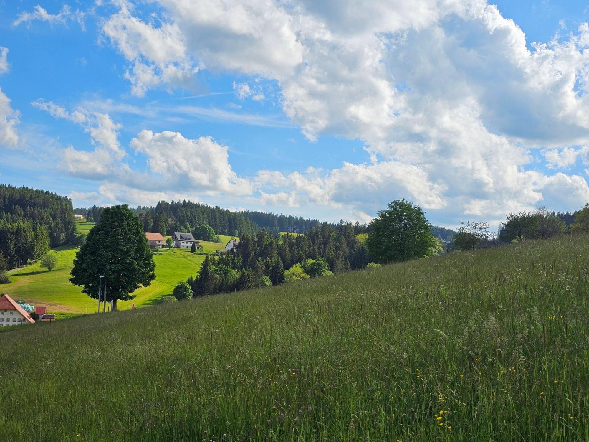 Miuti Residence Triberg im Schwarzwald Exteriér fotografie