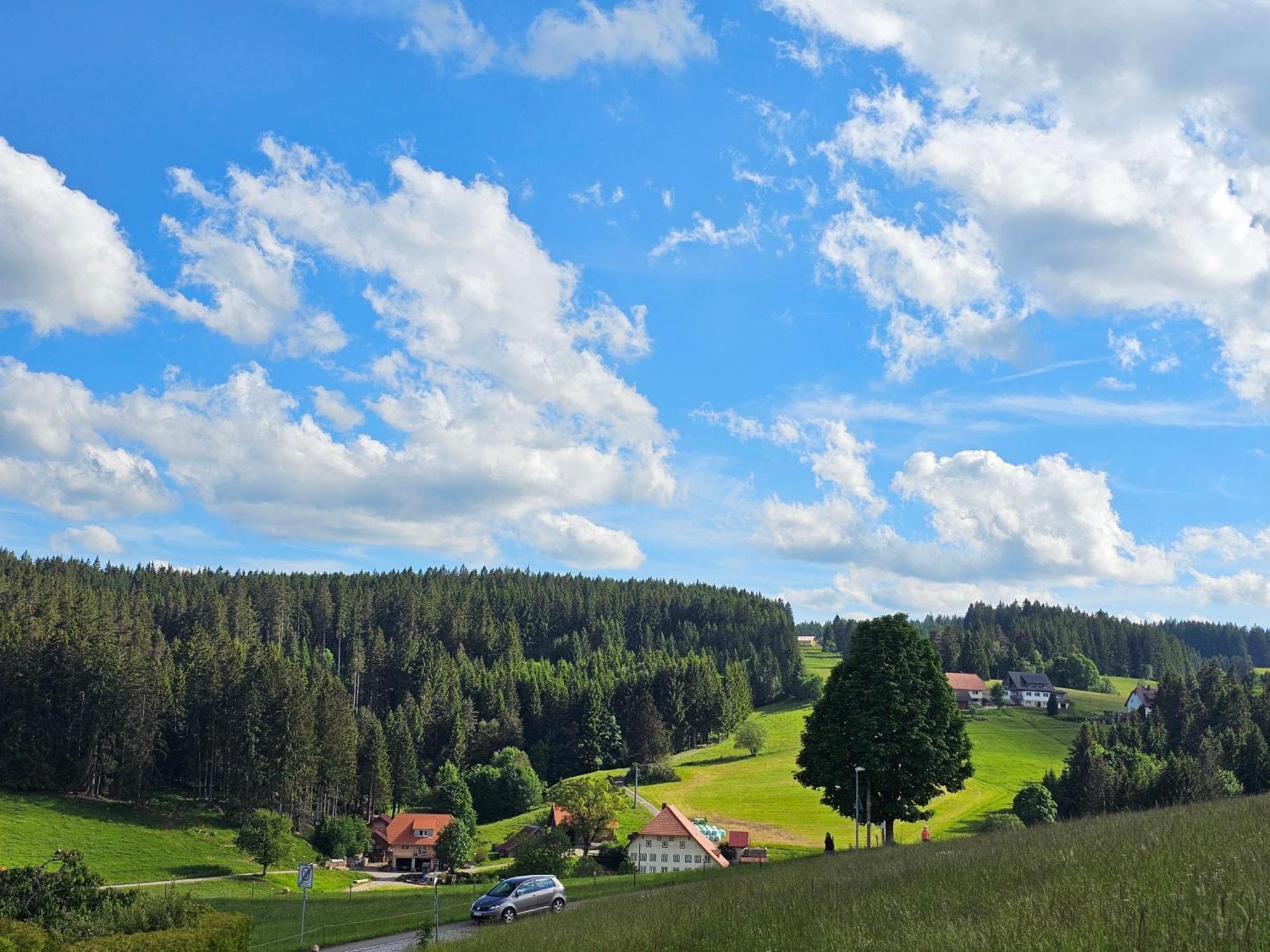 Miuti Residence Triberg im Schwarzwald Exteriér fotografie